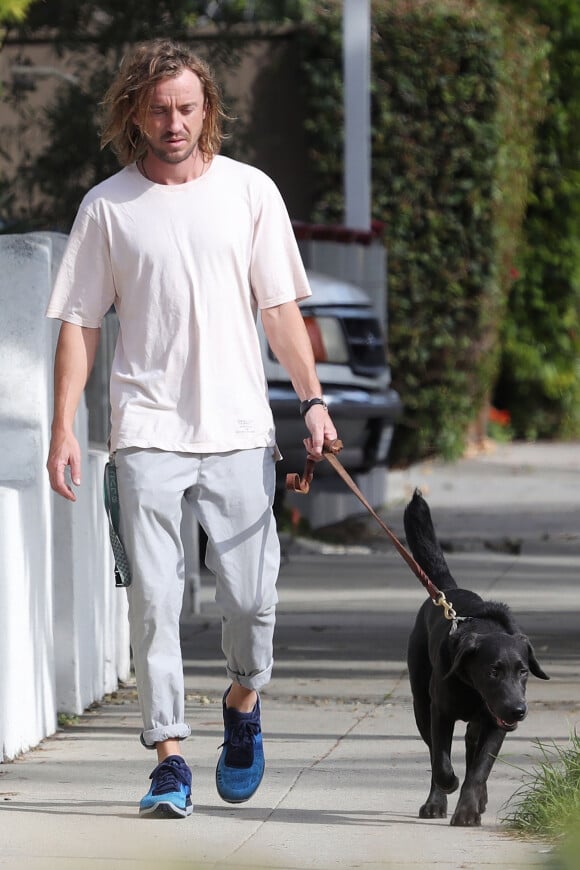 Exclusif - Tom Felton promène son chien dans les rues de Santa Monica le 29 janvier 2019.