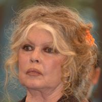 Brigitte Bardot, sa famille "éparpillée" : "Les contacts sont difficiles..."