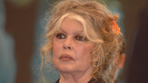 Brigitte Bardot, sa famille "éparpillée" : "Les contacts sont difficiles..."