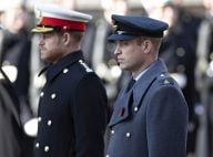 Harry et William fâchés : ce lourd silence de deux mois après le Megxit