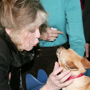 Brigitte Bardot et Michel Drucker - Journée spéciale d'adoption à Levallois-Perret - Le Noël des animaux organisé par la SPA.