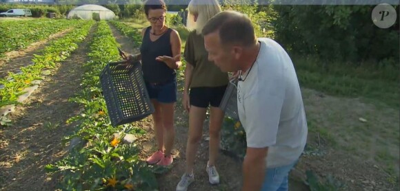 David et ses deux prétendantes Stéphanie dans "L'amour est dans le pré 2020", lundi 19 octobre sur M6