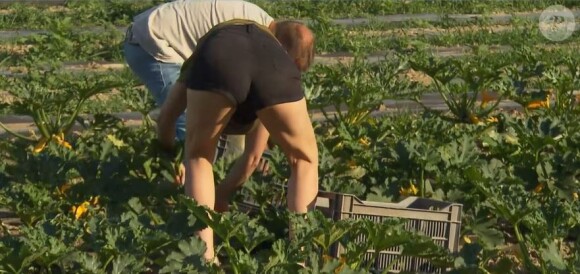 David et ses deux prétendantes Stéphanie dans "L'amour est dans le pré 2020", lundi 19 octobre sur M6