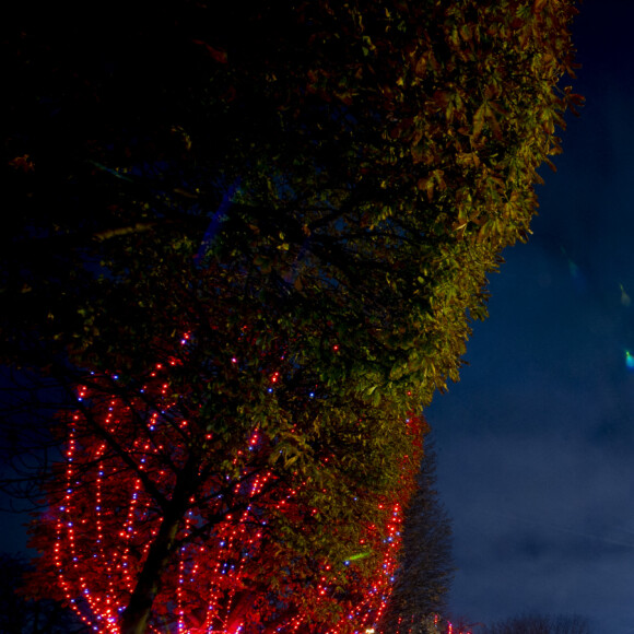 Ambiance sur les champs Elysee pendant l'Inauguration des Illuminations de Noel - Fontaine du Rond point des champs - La chanteuse Louane lors de la cérémonie d'illumination des Champs Elysées à Paris le 22 novembre 2020. Louane Emera est la marraine de la 40ème cérémonie d'illumination des champs Elysées. © JB Autissier / Panoramic / Bestimage