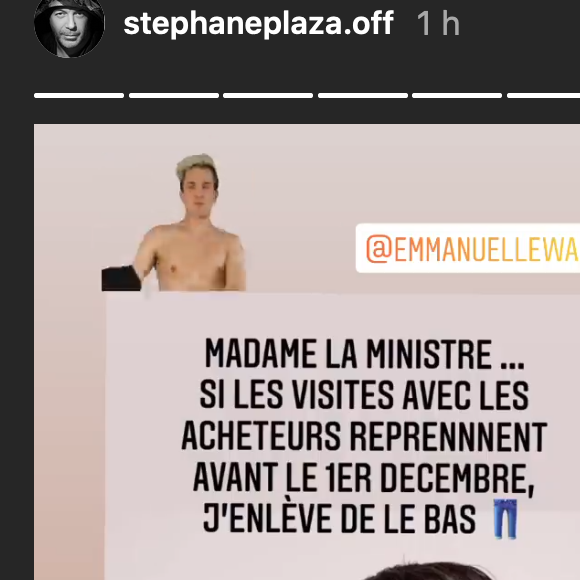 Stéphane Plaza interpelle un ministre et propose de faire tomber le bas - Instagram, 24 novembre 2020