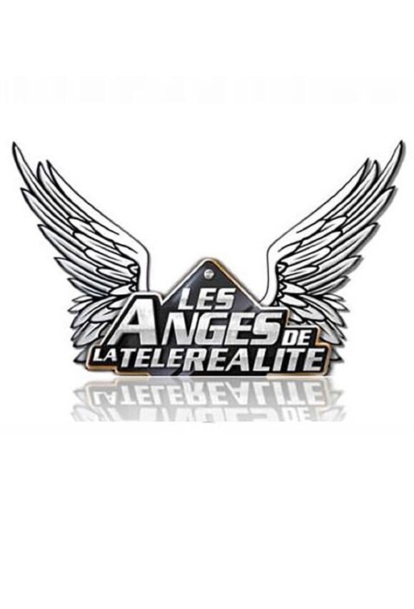 Logo de l'émission "Les Anges".