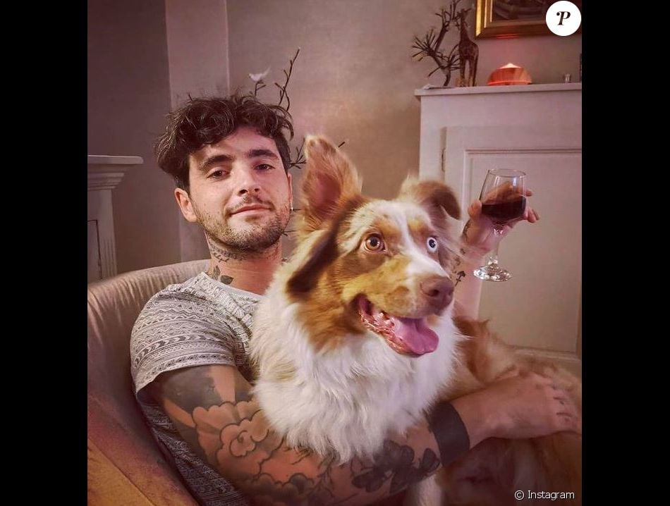 Louis Delort Et Son Chien Septembre 2020 Purepeople