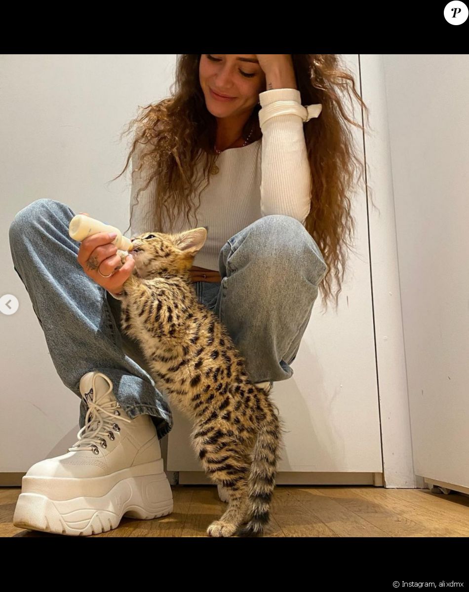 Alix Les Marseillais En Larmes Et Dans Tous Ses Etats A Marbella Son Appel A L Aide Sur Les Reseaux Le Diaporama Purepeople