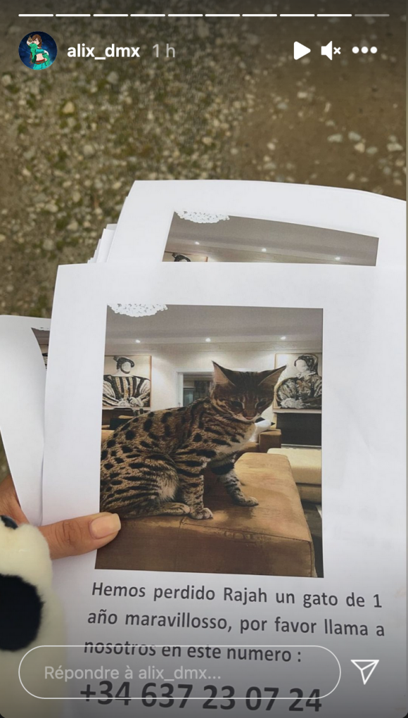 Alix Desmoineaux (Les Marseillais) annonce la disparition de son chat Rajah - Instagram