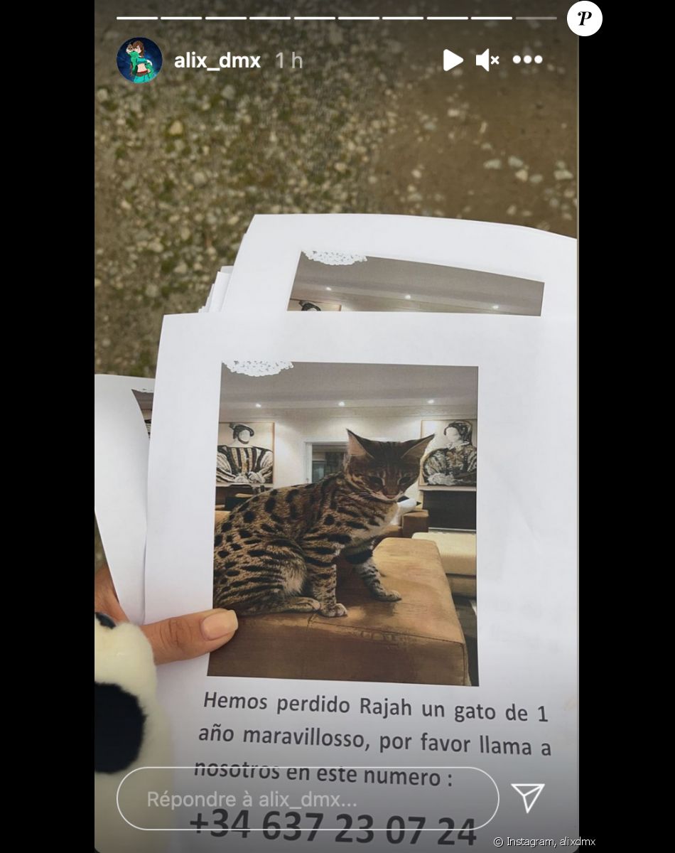 Alix Les Marseillais En Larmes Et Dans Tous Ses Etats A Marbella Son Appel A L Aide Sur Les Reseaux Le Diaporama Purepeople