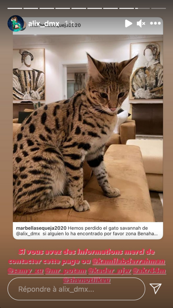 Alix Desmoineaux (Les Marseillais) annonce la disparition de son chat Rajah - Instagram