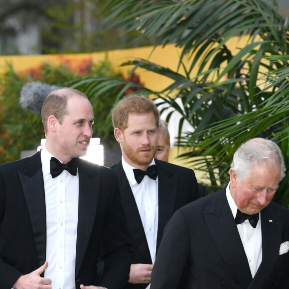 Le prince William, duc de Cambridge, le prince Harry, duc de Sussex, le prince Charles, prince de Galles lors de la première mondiale de la série Netflix "Our Planet" au Musée d'histoire naturelle de Londres le 4 avril 2019.