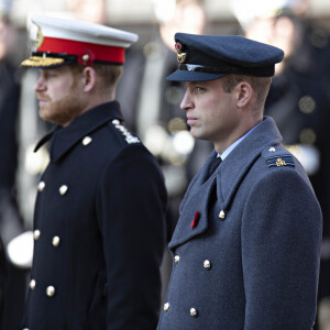 Le prince Harry, duc de Sussex et le prince William, duc de Cambridge lors du National Service of Remembrance à Londres. Novembre 2019.
