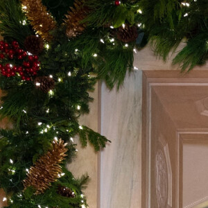 Le président Donald Trump et la First Lady Melania Trump posent pour leur portrait officiel de Noël à la Maison Blanche, Washington. Le 10 décembre 2020.