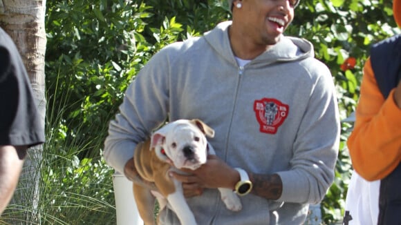 Chris Brown attaqué en justice : son chien mord une employée, qui finit en sang