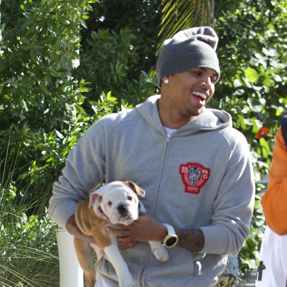 Chris Brown, Jasmine Sanders et son chien sur la plage de Miami.