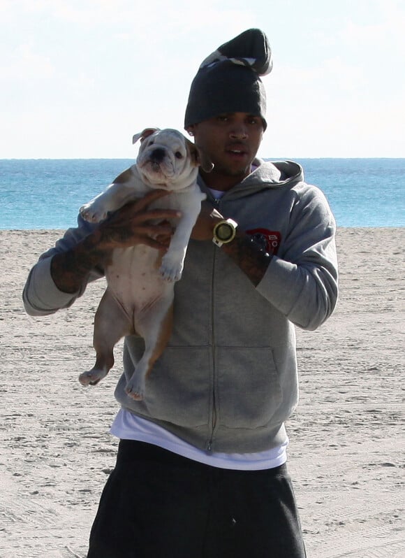 Chris Brown, Jasmine Sanders et son chien sur la plage de Miami.