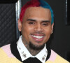 Chris Brown - 62ème soirée annuelle des Grammy Awards à Los Angeles, le 26 janvier 2020.