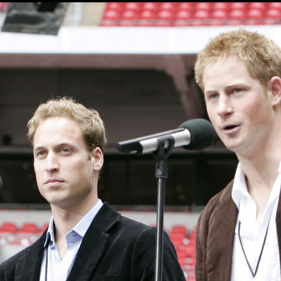 Le prince William et le prince Harry lors du concert hommage à Diana au stade de Wembley, à Londres en 2007. 