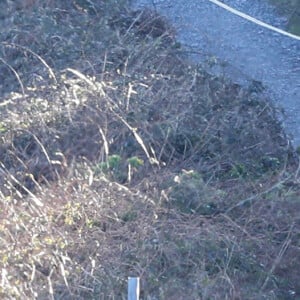 Le prince William et Catherine Kate Middleton lors d'une randonnée sur Howth Cliff, un sentier avec une vue imprenable sur la mer d'Irlande le 4 mars 2020.