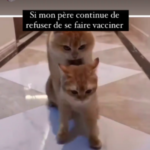 Lolita Séchan mécontente sur Instagram, son père Renaud refuse de se faire vacciner. Le 7 mai 2021