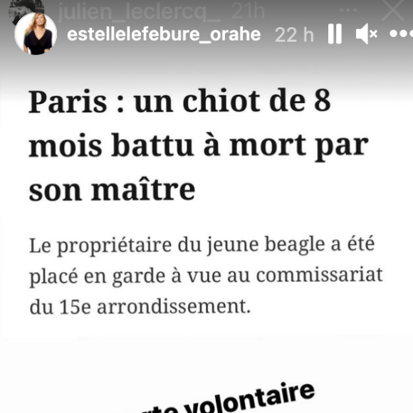 Estelle Lefébure prête à assassiner un homme ayant tué un chiot de 8 mois à Paris.