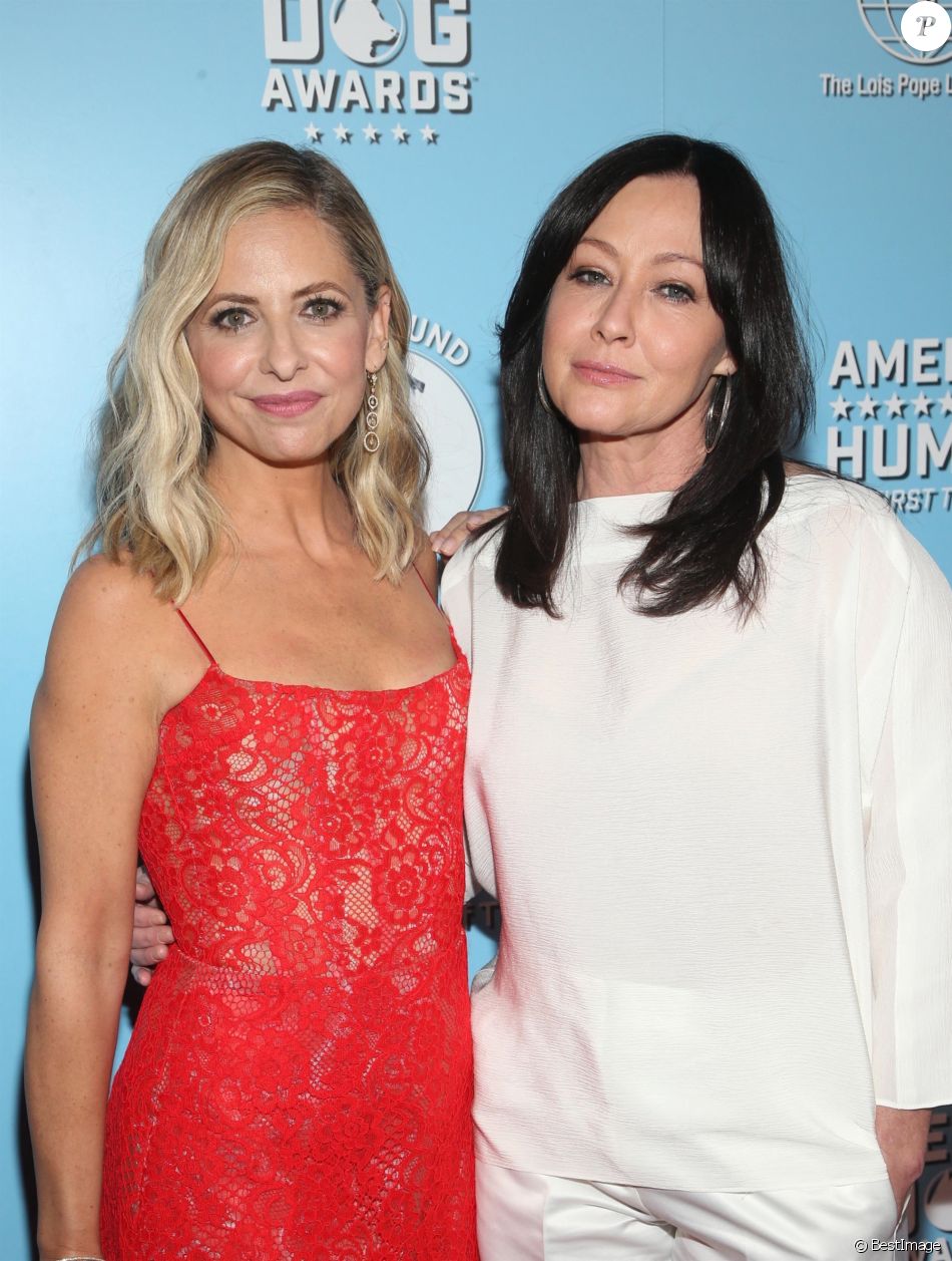 Sarah Michelle Gellar, Shannen Doherty - Photocall des 9e American