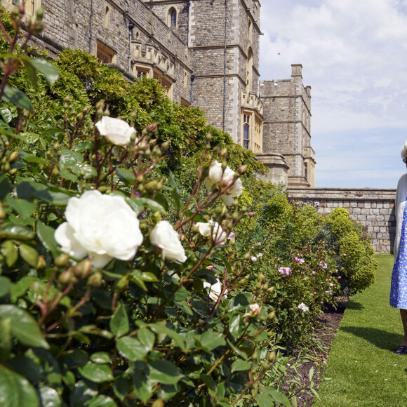 La reine Elisabeth II reçoit des mains de Keith Weed, président de la Société Royale d'Horticulture, la rose "Duke of Edimburgh" au château de Windsor. Le 9 juin 2021