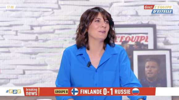 Estelle Denis se moque du look de Raymond Domenech en direct sur la chaîne L'Équipe