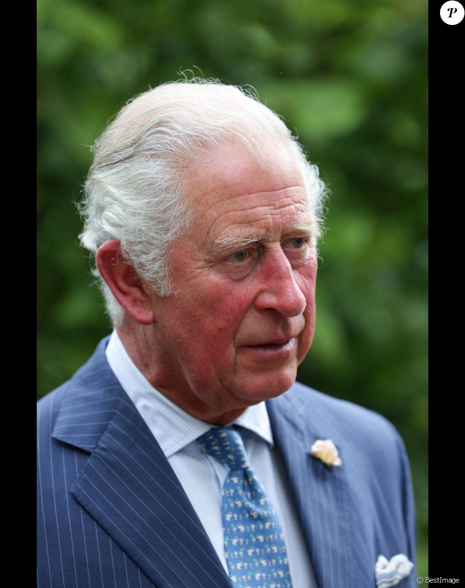 rencontre lady diana prince charles