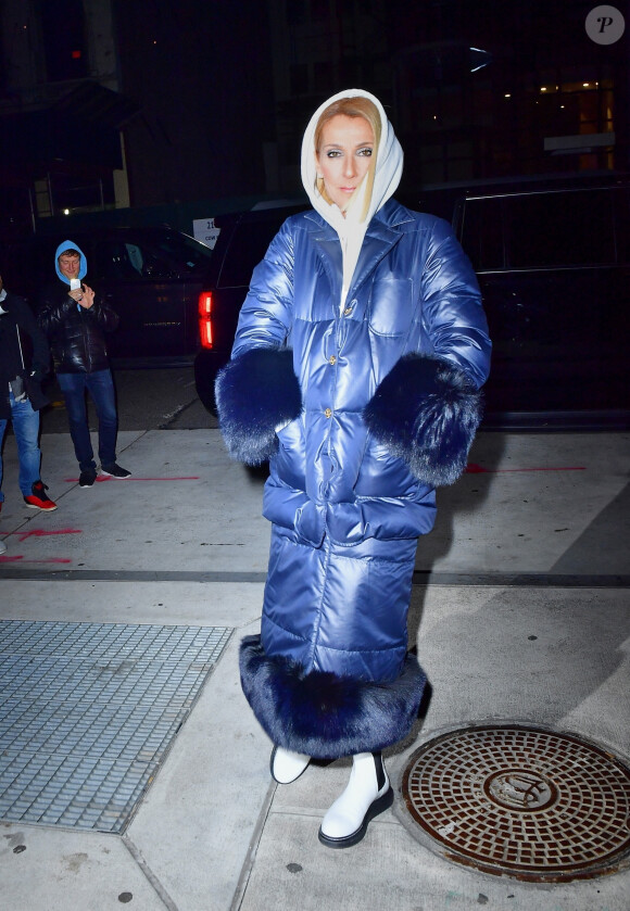 Celine Dion brave le froid de New York avec une maxi doudoune le 7 mars 2020.


