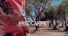 Jesta Hillmann "dégoutée", elle annule sa participation au Festival de Cannes à la dernière minute