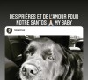 Laeticia Hallyday prie pour son chien Santos. Instagram. Le 17 juillet 2021.