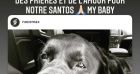 Laeticia Hallyday prie pour son chien Santos. Instagram. Le 17 juillet 2021.