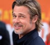 Brad Pitt a un sosie, qui éprouve des difficultés à rencontrer l'amour à cause de leur ressemblance.