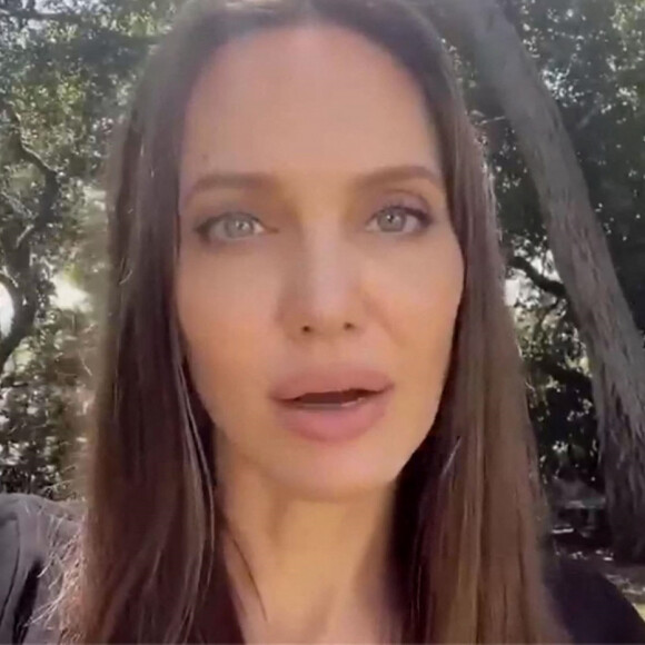 Angelina Jolie - Les célébrités rendent hommage à Chadwick Boseman dans l'émission de la ABC Tribute To A King special à Los Angeles, le 30 août 2020 