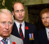 Le prince Charles, prince de Galles, le prince William, duc de Cambridge et le prince Harry visitent les tunnels de Vimy lors des commémorations des 100 ans de la bataille de Vimy.