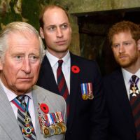 Prince Harry renoue avec la famille royale pour un projet émouvant