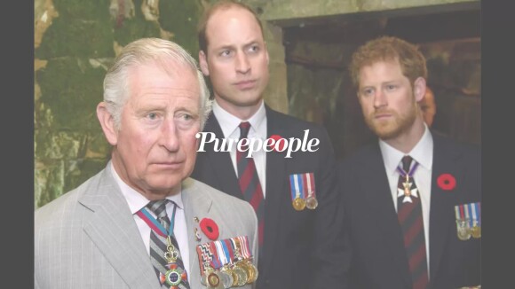 Prince Harry renoue avec la famille royale pour un projet émouvant