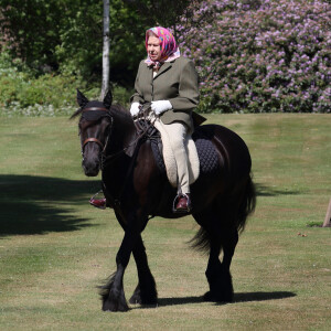 La reine Elisabeth II fait une balade à cheval dans le parc du château de Windsor le 31 mai 2020. 