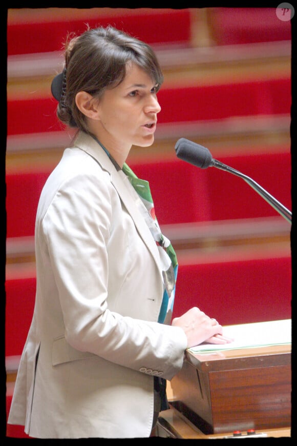 Aurélie Filippetti - Examen d'un projet de loi à l'Assemblée nationale
