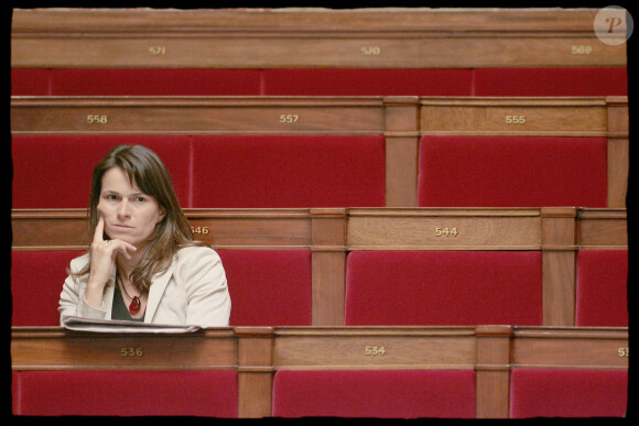 Aurélie Filippetti - Examen d'un projet de loi à l'Assemblée nationale