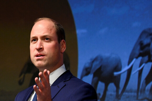 Le prince William, duc de Cambridge, célèbre les principaux protecteurs de la faune d'Afrique et présente les lauréats des Tusk Conservation Awards annuels au BFI Southbank à Londres