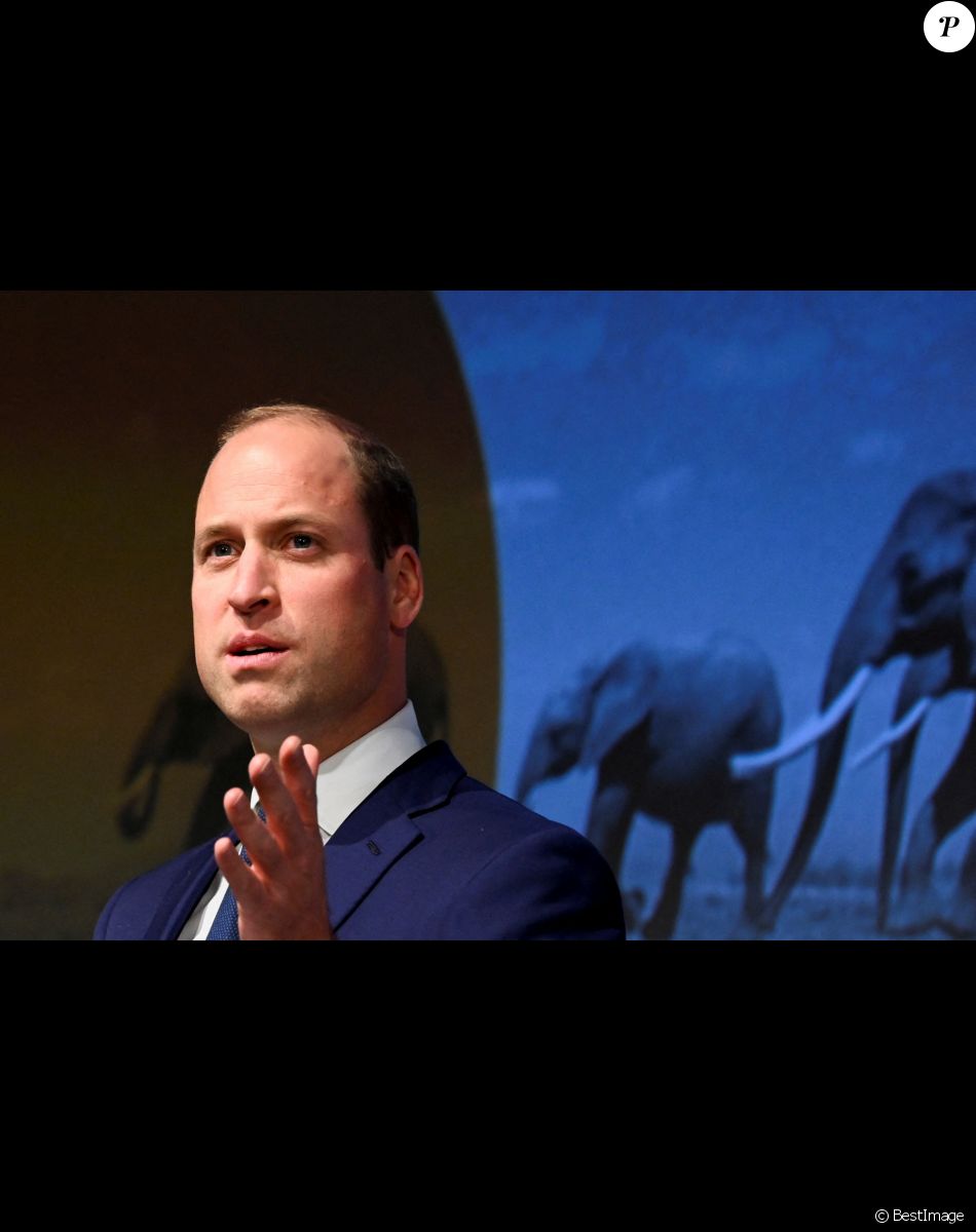 Le prince William, duc de Cambridge, célèbre les principaux protecteurs de la faune d'Afrique et présente les lauréats des Tusk Conservation Awards annuels au BFI Southbank à Londres
