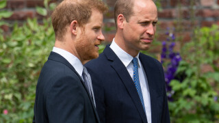 Le prince William "furieux" contre son frère Harry : leurs dernières retrouvailles sous tension