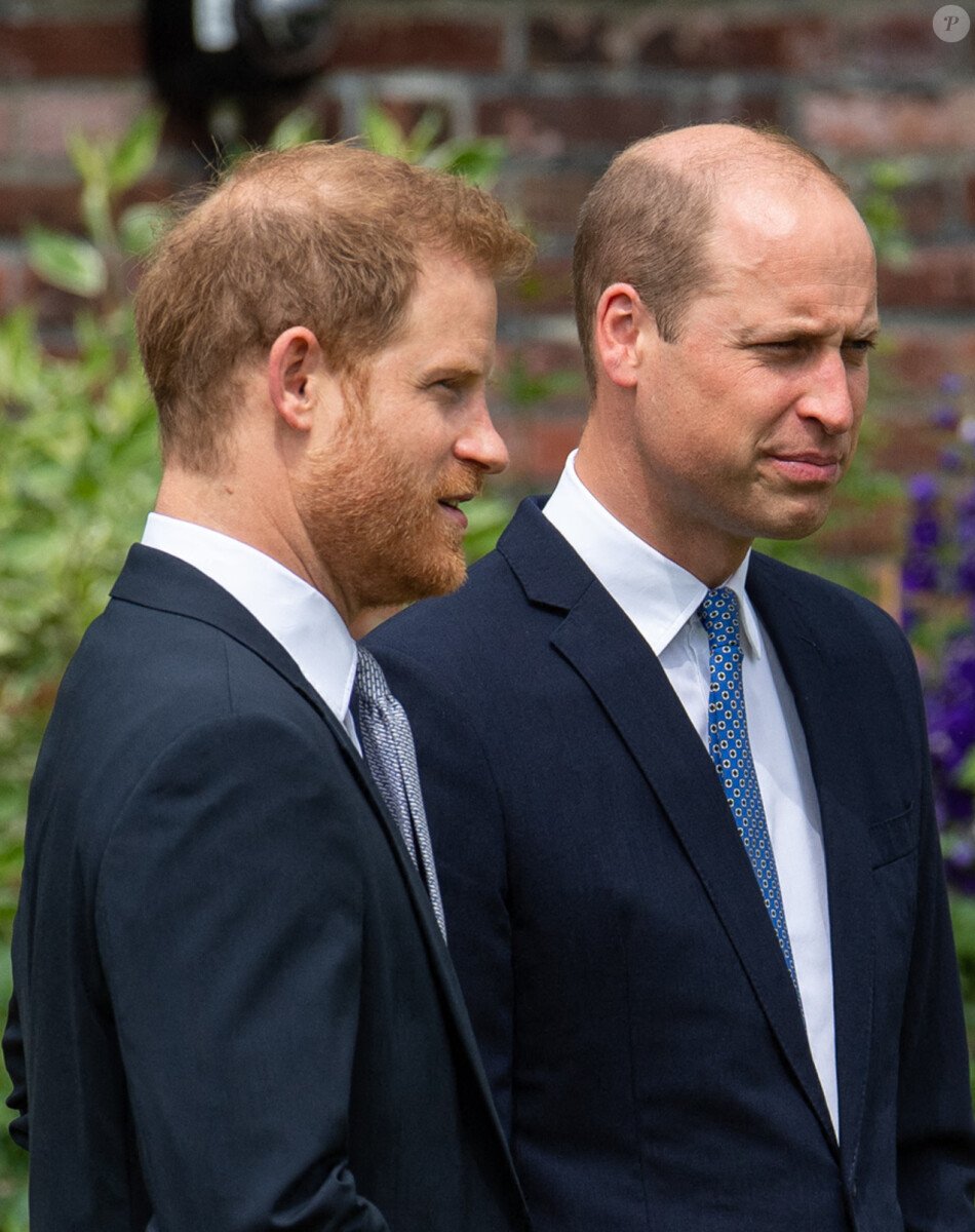 Prince William “furious” with his brother Harry: their last reunion under tension