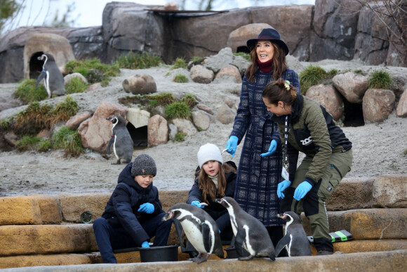 Le prince Vincent, la princesse Josephine et la princesse Mary de Danemark lors de la cérémonie d'inauguration de la zone thématique "Marys Australske Have" (anglais : Mary's Australian Garden) au zoo de Copenhague. Le 2 février 2022