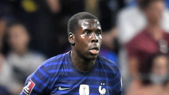 Affaire Zouma : la SPA donne des nouvelles de ses chats