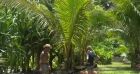 Frederick Bousquet et sa fille Manon à Tahiti.