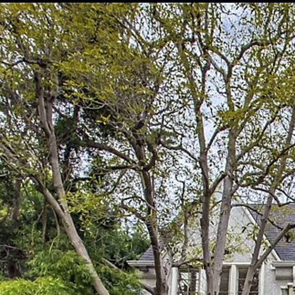 Leonardo Di Caprio a vendu sa maison de Los Angeles pour 4.9 millions de dollars, le 7 mars 2022. 